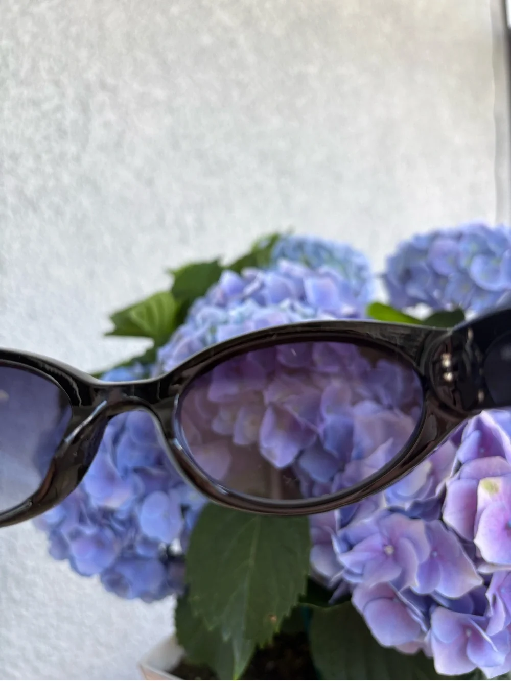 Sleek Black Cat-Eye Sunglasses for Women
